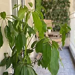 Apartament Garden Boutique Saloniki