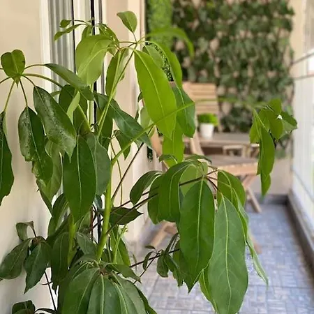 דירה Garden Boutique סלוניקי