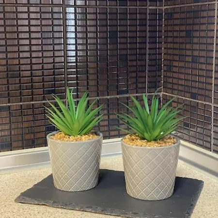 Apartment Garden Boutique *
