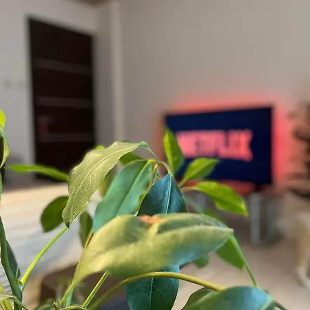 Garden Boutique
