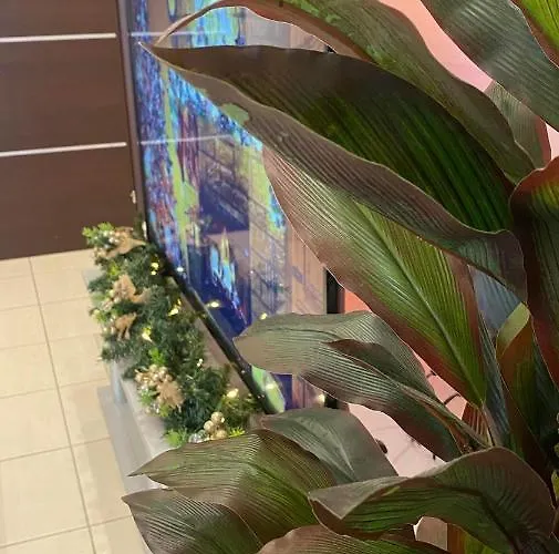 Garden Boutique